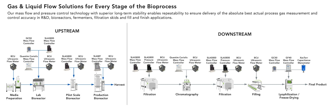 Bioprocessing-Graphic - 5