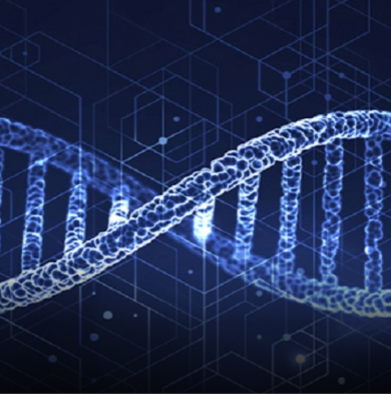 Market-Life-Sciences-1