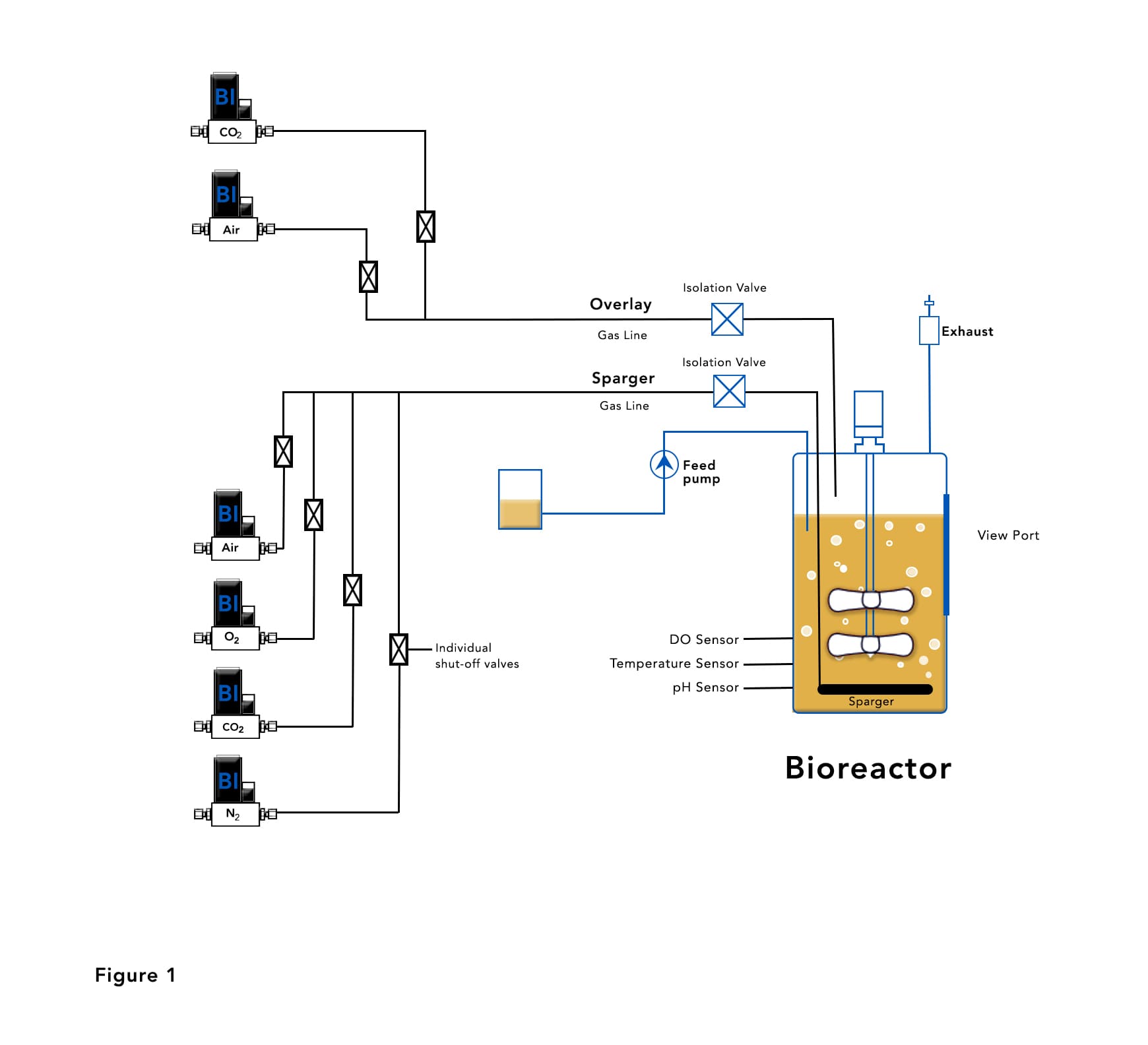Bioreactor with Mass Flow Controllers