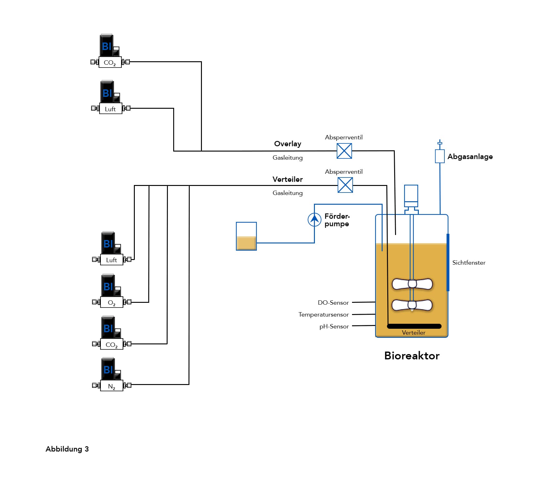 Bioreaktor mit Massenflussreglern
